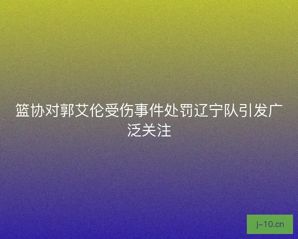 篮协对郭艾伦受伤事件处罚辽宁队引发广泛关注